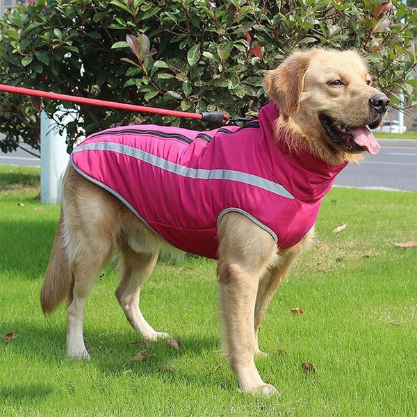 dog apparel jormel 2021 clothes winter waterproof reflective warm down jacket jumpsuit for small medium large pet
dog apparel jormel 2021 clothes winter waterproof reflective warm down jacket jumpsuit for small medium large pet