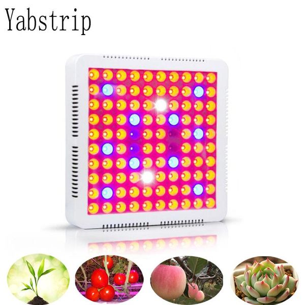 grow light full spectrum fitolampt for indoor vegetable flower seedling tent plant lamp lights
grow light full spectrum fitolampt for indoor vegetable flower seedling tent plant lamp lights