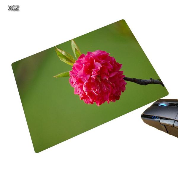 mouse pads & wrist rests xgz plant various flowers pad flower small size non-slip natural softy desk25x29 / 20x25 18x22cm
mouse pads & wrist rests xgz plant various flowers pad flower small size non-slip natural softy desk25x29 / 20x25 18x22cm