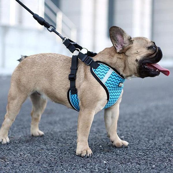 dog collars & leashes reflective safety pet vest puppy cat adjustable chest strip harness with walking leash small medium dogs outdoor suppl
dog collars & leashes reflective safety pet vest puppy cat adjustable chest strip harness with walking leash small medium dogs outdoor suppl