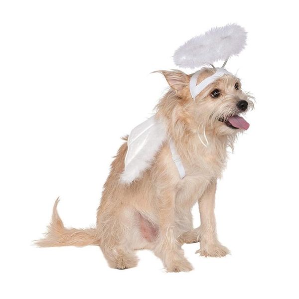 dog cat feather angel halo wing pet costume accessories set pography props t8we apparel
dog cat feather angel halo wing pet costume accessories set pography props t8we apparel