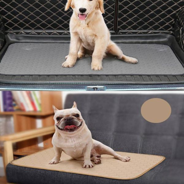 dog apparel pet diaper super absorbent training pee pads healthy clean disposable puppy pad
dog apparel pet diaper super absorbent training pee pads healthy clean disposable puppy pad