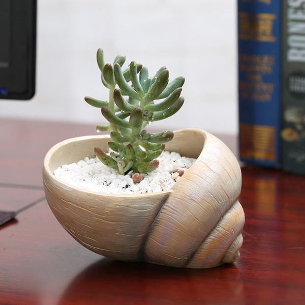 aquariums creative flower pot multi- resin shell snail shape home garden wedding decoration container ornaments organizers(grey)
aquariums creative flower pot multi- resin shell snail shape home garden wedding decoration container ornaments organizers(grey)