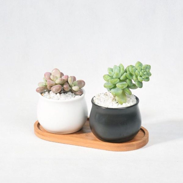 pcs succulent flowerpot green plant potted black and white round belly-shaped indoor ceramic bamboo wooden tray planters & pots
pcs succulent flowerpot green plant potted black and white round belly-shaped indoor ceramic bamboo wooden tray planters & pots