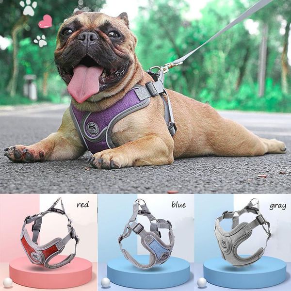 dog collars & leashes cat and adjustable harness is reflective breathable with 1.5m leash, for large small vests pet supplies
dog collars & leashes cat and adjustable harness is reflective breathable with 1.5m leash, for large small vests pet supplies
