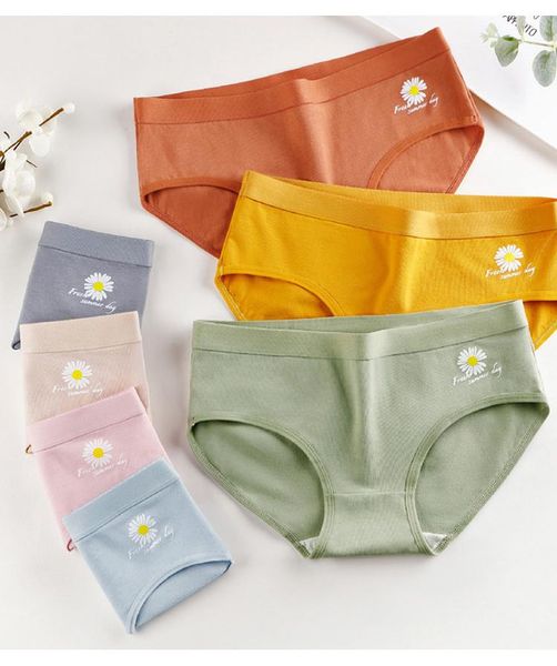 women's panties 3pcs/lot cotton soft breathable underpants low-rise briefs female lingerie -xl comfort underwear, Black;pink
women's panties 3pcs/lot cotton soft breathable underpants low-rise briefs female lingerie -xl comfort underwear, Black;pink