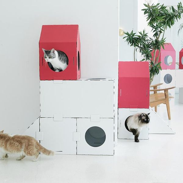 cat beds & furniture small red house climbing rack tunnel diy corrugated nest room carton paradise castle platform column
cat beds & furniture small red house climbing rack tunnel diy corrugated nest room carton paradise castle platform column