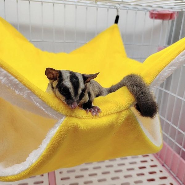 small animal supplies plush hamster hammock squirrel ferret pet bed double-layer thicken warm sleeping bag nest hanging cage house f2
small animal supplies plush hamster hammock squirrel ferret pet bed double-layer thicken warm sleeping bag nest hanging cage house f2