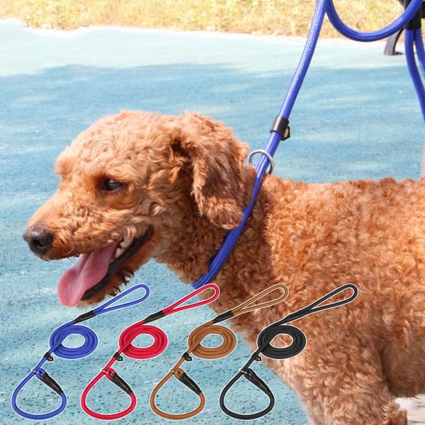 dog collars & leashes collar and leash set smycz dla psa pet correa perro for pitbull chihuahua pug para laisse chien pour lead p chain inte
dog collars & leashes collar and leash set smycz dla psa pet correa perro for pitbull chihuahua pug para laisse chien pour lead p chain inte