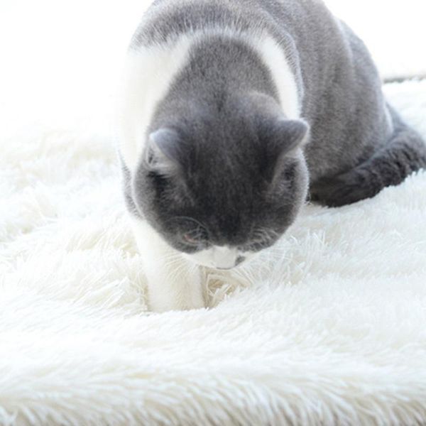 autumn winter cat pet sleeping mat dual-use dog bed long plush fluffy mattress warm cushion machine washable ye- beds & furniture
autumn winter cat pet sleeping mat dual-use dog bed long plush fluffy mattress warm cushion machine washable ye- beds & furniture