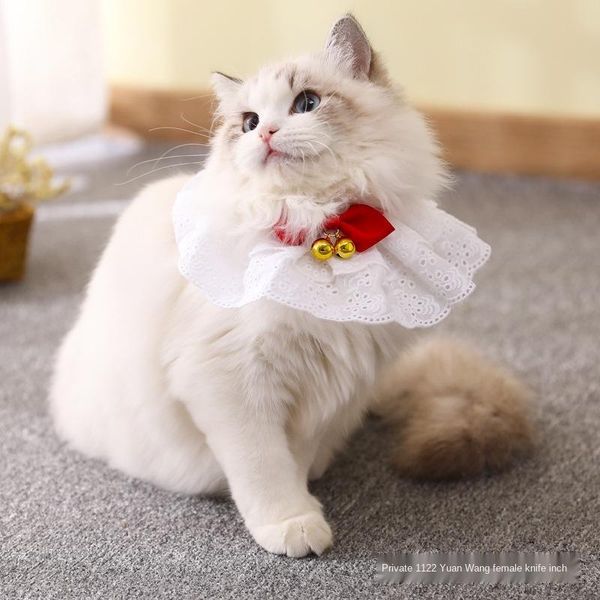 cat costumes collars rosette bells lace fantasy princess collar dog easy to wear accessories apron
cat costumes collars rosette bells lace fantasy princess collar dog easy to wear accessories apron