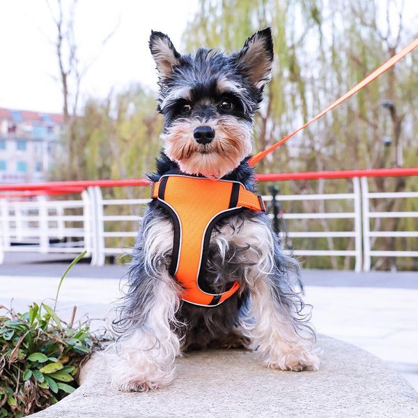 dog collars & leashes harness soft no pull reflective breathable adjustable pet vest collar hand strap for small medium large dogs
dog collars & leashes harness soft no pull reflective breathable adjustable pet vest collar hand strap for small medium large dogs