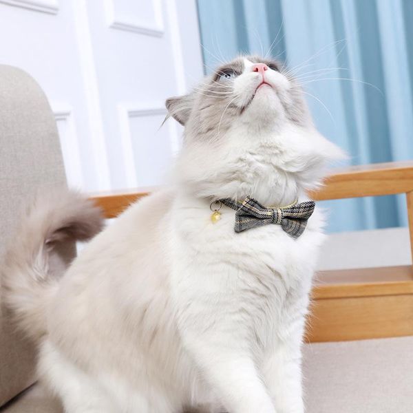 british style necktie clothes puppy pets neck tie pet cat dog collar bow adjustable strap grooming accessories collars & leads
british style necktie clothes puppy pets neck tie pet cat dog collar bow adjustable strap grooming accessories collars & leads