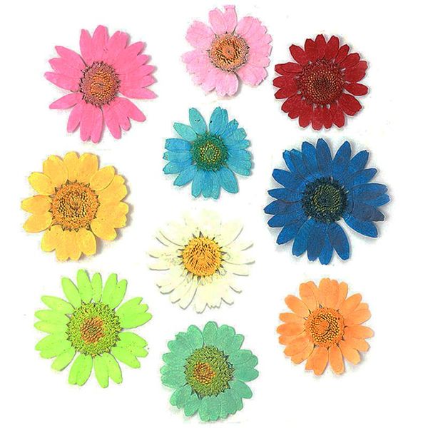pcs real chrysanthemum dried pressed flower nail art sticker dry plant 3d uv gel false tips diy decoration design manicure decorations, Silver;gold
pcs real chrysanthemum dried pressed flower nail art sticker dry plant 3d uv gel false tips diy decoration design manicure decorations, Silver;gold