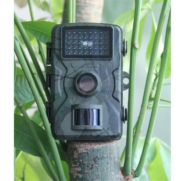 hunting cameras trail camera wildcamera wild surveillance night version wildlife scouting po trap track waterproof monitoring
hunting cameras trail camera wildcamera wild surveillance night version wildlife scouting po trap track waterproof monitoring