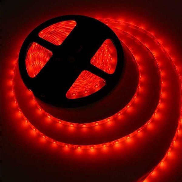 strip lights smd2835rgb 12v3a 5m/16.4ft red color flexible rope ribbon fita led light with adapter for decoration strips
strip lights smd2835rgb 12v3a 5m/16.4ft red color flexible rope ribbon fita led light with adapter for decoration strips