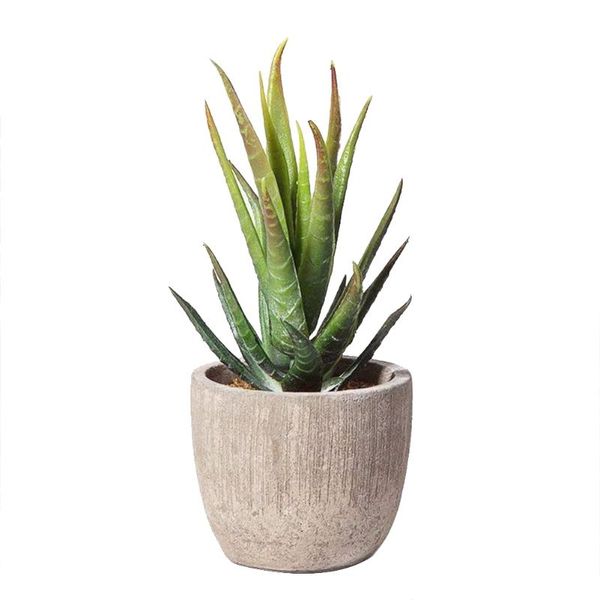 pot simulation succulent potted plastic flowerpot tree ball green plant decorative flowers & wreaths
pot simulation succulent potted plastic flowerpot tree ball green plant decorative flowers & wreaths