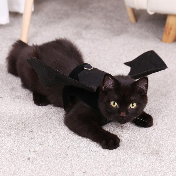 bat wings vampire cat clother black fancy dress up pet halloween holiday christmas party costumes gifts clothes
bat wings vampire cat clother black fancy dress up pet halloween holiday christmas party costumes gifts clothes