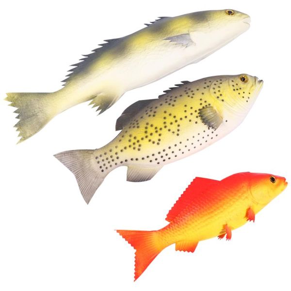 cat toys 3pcs fake fish toy simulation model creative educational decorative for kids children
cat toys 3pcs fake fish toy simulation model creative educational decorative for kids children