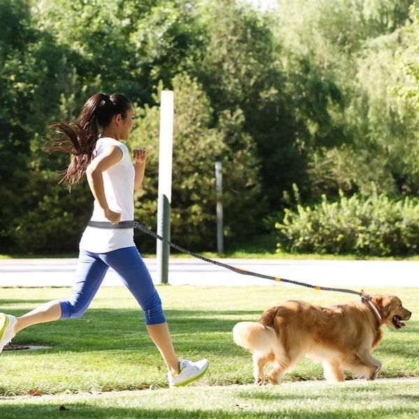 dog collars & leashes dogs leash running elasticity hand y pet products harness collar jogging lead and adjustable waist rope
dog collars & leashes dogs leash running elasticity hand y pet products harness collar jogging lead and adjustable waist rope
