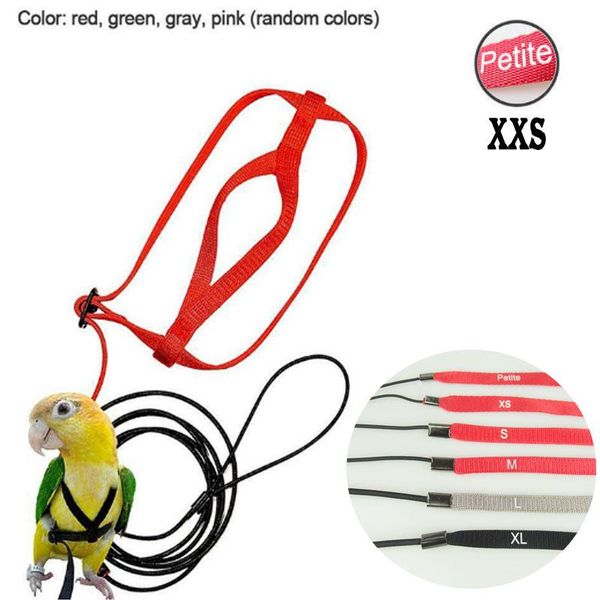 other bird supplies adjustable parrots harness leash anti-bite training rope outdoor flying
other bird supplies adjustable parrots harness leash anti-bite training rope outdoor flying