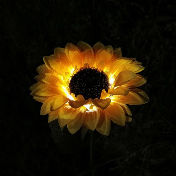 lawn lamps 2pcs outdoor sunflower shape light solar powered waterproof courtyard vibrant lamp landscape garden
lawn lamps 2pcs outdoor sunflower shape light solar powered waterproof courtyard vibrant lamp landscape garden
