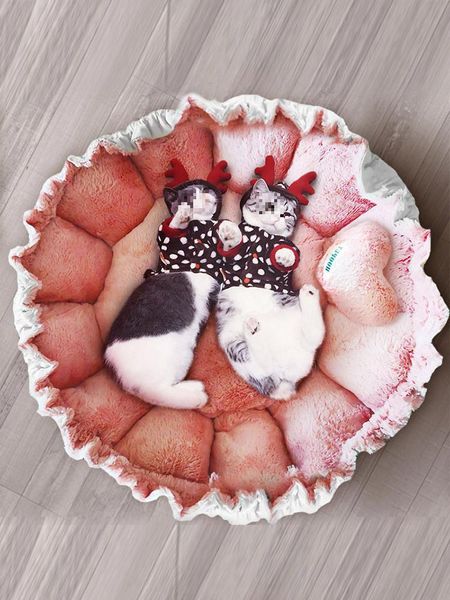 cat beds & furniture petal cat's nest dog's small dog four seasons general mat lace pet supplies
cat beds & furniture petal cat's nest dog's small dog four seasons general mat lace pet supplies
