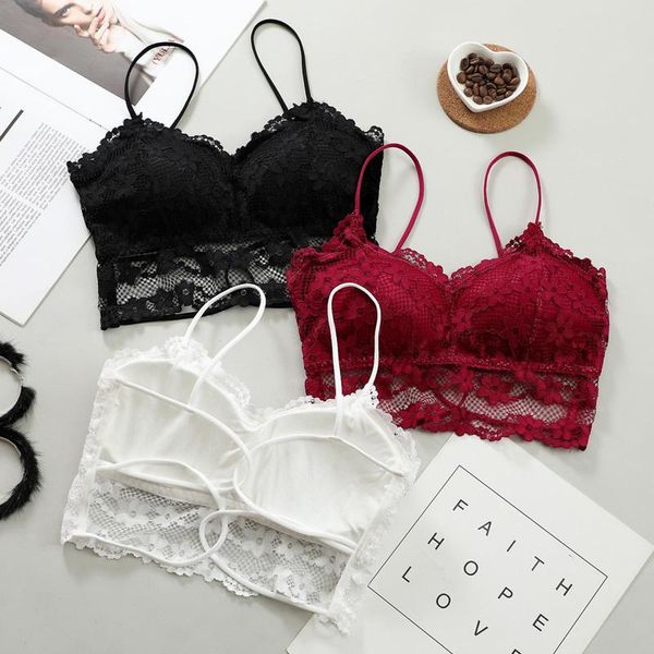 bras fashion women's underwear push up bra hollow out lace trendy vest padding seamless wire lingerie thin bralette, Red;black
bras fashion women's underwear push up bra hollow out lace trendy vest padding seamless wire lingerie thin bralette, Red;black
