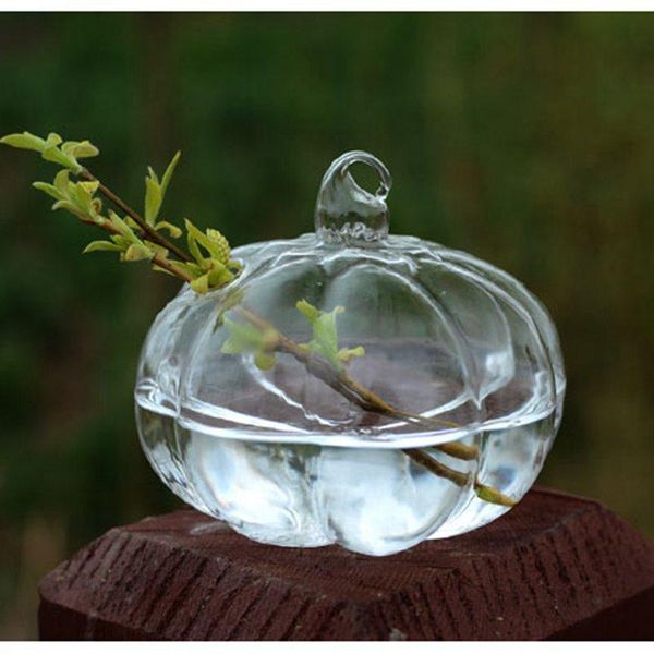 vases christmas terrarium glass flower vase halloween pumpkin sphere 8.5*9.5cm hanging home wedding decoration transparent
vases christmas terrarium glass flower vase halloween pumpkin sphere 8.5*9.5cm hanging home wedding decoration transparent