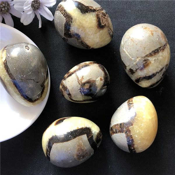 decorative objects & figurines natural septarian sphere septarium dragon stone fossil crystal ball healing 1pc
decorative objects & figurines natural septarian sphere septarium dragon stone fossil crystal ball healing 1pc