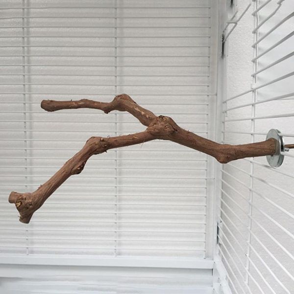 parakeet birds stand pole easy install grape wood non toxic standing stick parrot perches climbing grinding cage home other bird supplie sup
parakeet birds stand pole easy install grape wood non toxic standing stick parrot perches climbing grinding cage home other bird supplie sup