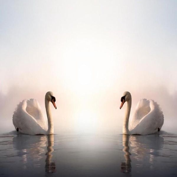 wallpapers drop colomac white wallpaper a pair of swans wall painting bedroom papier peint mural home decor
wallpapers drop colomac white wallpaper a pair of swans wall painting bedroom papier peint mural home decor