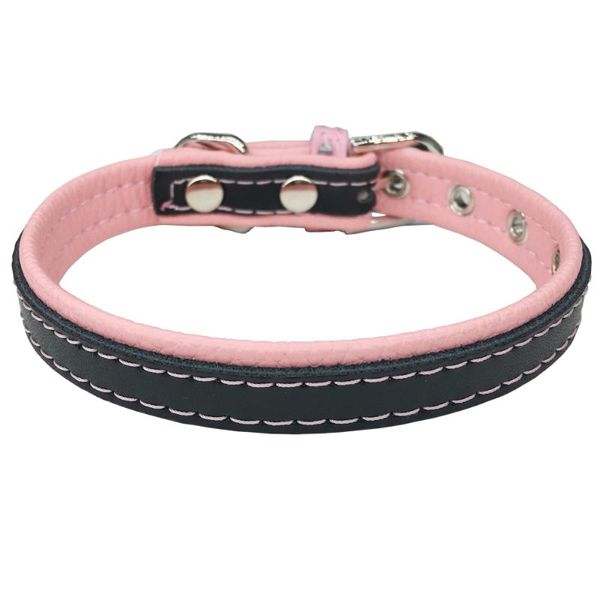 designer pu leather soft padded small dog collar pet puppy cat perro collars with strong buckle for dogs pitbull 2 size 5 & leashes
designer pu leather soft padded small dog collar pet puppy cat perro collars with strong buckle for dogs pitbull 2 size 5 & leashes