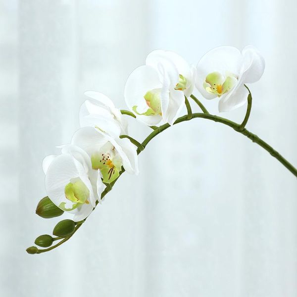 decorative flowers & wreaths 2pcs simulation flower feel phalaenopsis fake decoration wedding home artificial silk orchid pography props
decorative flowers & wreaths 2pcs simulation flower feel phalaenopsis fake decoration wedding home artificial silk orchid pography props