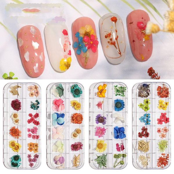 nail art decorations 12 grid boxed dried flower stickers leaf decoration plant daffodil immortal jewelry supplies, Silver;gold
nail art decorations 12 grid boxed dried flower stickers leaf decoration plant daffodil immortal jewelry supplies, Silver;gold