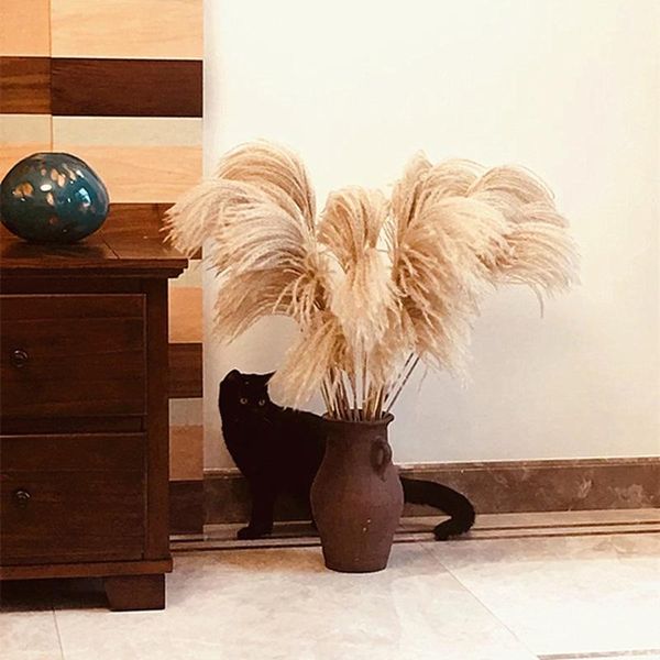 dried flower reeds natural pampas grass ornamental wedding shop decoration ornament home decor decorative flowers & wreaths
dried flower reeds natural pampas grass ornamental wedding shop decoration ornament home decor decorative flowers & wreaths