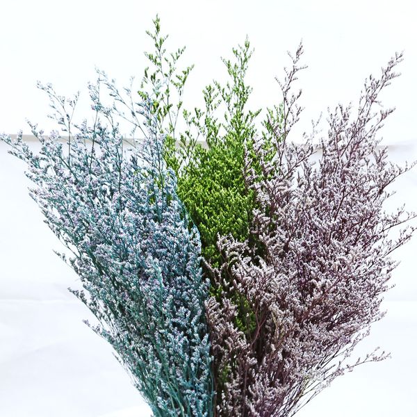 natural dried lover grass party gift for diy wedding decoration accessor bedroom craft home decor lovers grass paniculata
natural dried lover grass party gift for diy wedding decoration accessor bedroom craft home decor lovers grass paniculata