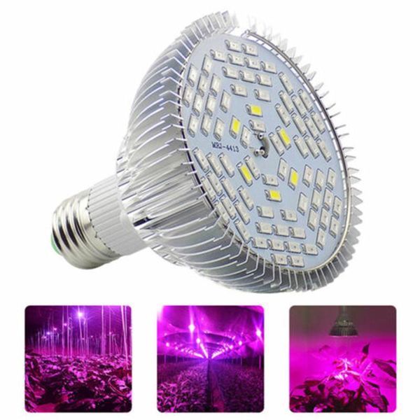 phytolamp full spectrum grow led plant light e27 bulbs seedling lamps ultraviolet lamp for plants indoor seeds of vegetables lights
phytolamp full spectrum grow led plant light e27 bulbs seedling lamps ultraviolet lamp for plants indoor seeds of vegetables lights