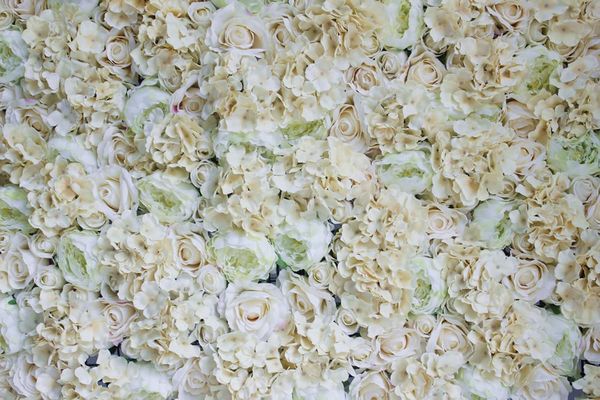 10pcs/lot champagne hydrangea artificial flower wall wedding backdrop arch table runner decoration decorative flowers & wreaths
10pcs/lot champagne hydrangea artificial flower wall wedding backdrop arch table runner decoration decorative flowers & wreaths