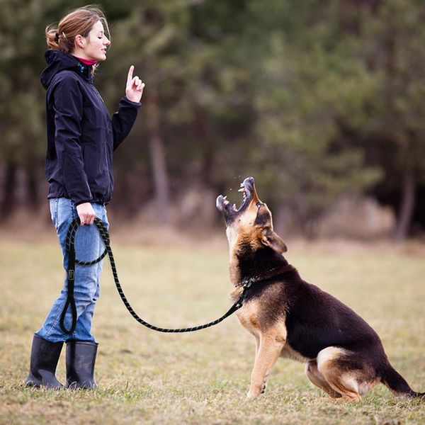 6ft nylon reflective dog leash rope for mountain climbing and walking training pet leads supplies collars & leashes
6ft nylon reflective dog leash rope for mountain climbing and walking training pet leads supplies collars & leashes
