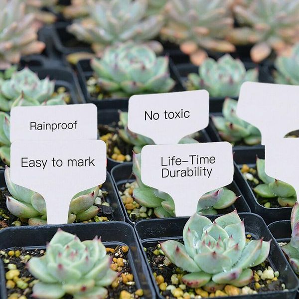 other garden supplies 100/200 pcs pvc t-type plants pot insert labels reusable white plant sorting sign 10*6cm waterproof markers can csv
other garden supplies 100/200 pcs pvc t-type plants pot insert labels reusable white plant sorting sign 10*6cm waterproof markers can csv