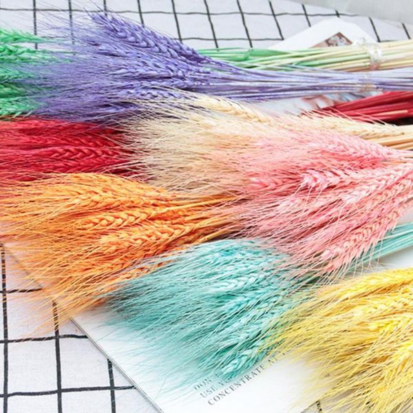 decorative flowers & wreaths 25pcs/set great grass dried flower decoration no withering vintage
decorative flowers & wreaths 25pcs/set great grass dried flower decoration no withering vintage