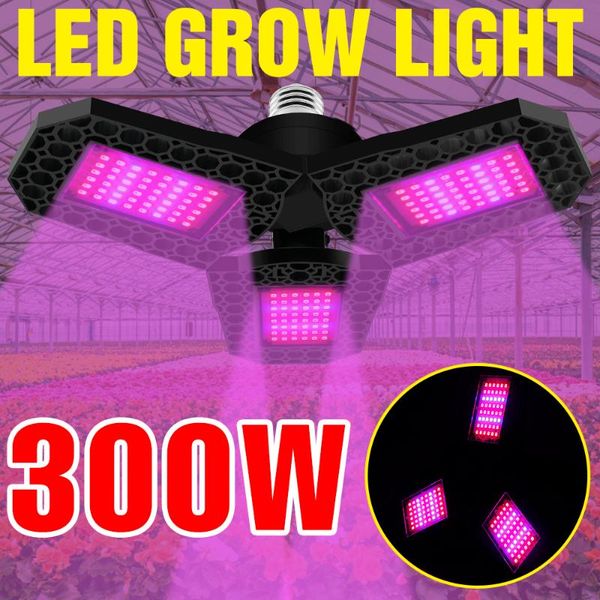 phytolampy for plant led lamp grow light bulb e27 full spectrum seeds lampara panel 110v growth tent bombilla lights
phytolampy for plant led lamp grow light bulb e27 full spectrum seeds lampara panel 110v growth tent bombilla lights