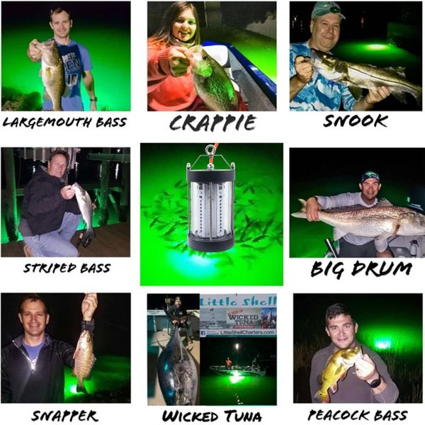 underwater fishing light 500w high lumens 35000lm ip68 waterproof ocean boat 3 years warranty fast delivery led bulbs
underwater fishing light 500w high lumens 35000lm ip68 waterproof ocean boat 3 years warranty fast delivery led bulbs