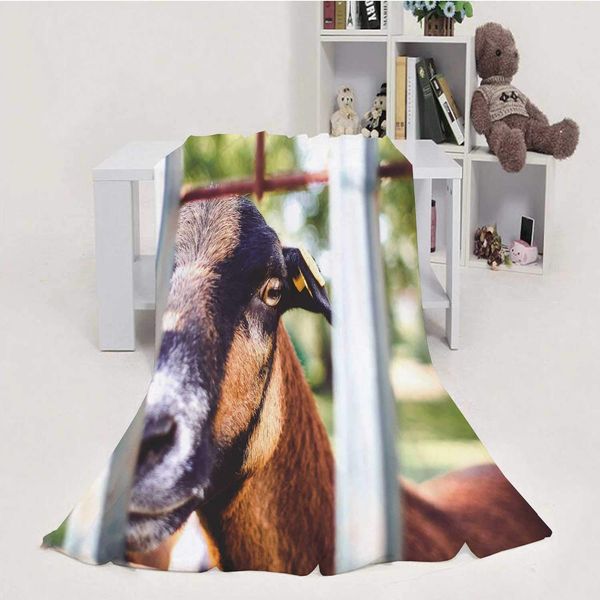 goat looking over the fence,soft luxuries throw blanket microfiber soft throw 50''x60''(wxl)
goat looking over the fence,soft luxuries throw blanket microfiber soft throw 50''x60''(wxl)