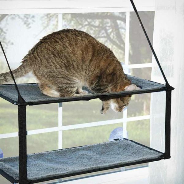 cat beds & furniture hammock removable washable super suction cup chaise longue cats cushion window sill litter two styles are available
cat beds & furniture hammock removable washable super suction cup chaise longue cats cushion window sill litter two styles are available