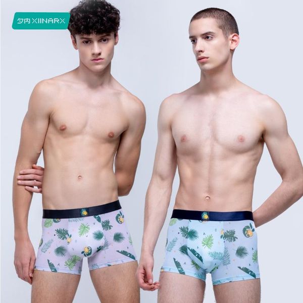 men comforable panties set gay underwear man boxer swim shorts mens briefs swimming trunks for 2021 men's swimwear
men comforable panties set gay underwear man boxer swim shorts mens briefs swimming trunks for 2021 men's swimwear