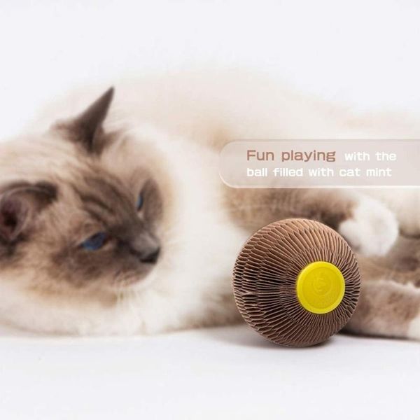 cat toys scratch toy interactive honeycomb ball for catching relieving boredom tickle set with catnip
cat toys scratch toy interactive honeycomb ball for catching relieving boredom tickle set with catnip