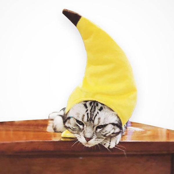 dog apparel pet hat headgear banana shape caps small dogs cats funny outfit clothing for party headwear accessories
dog apparel pet hat headgear banana shape caps small dogs cats funny outfit clothing for party headwear accessories