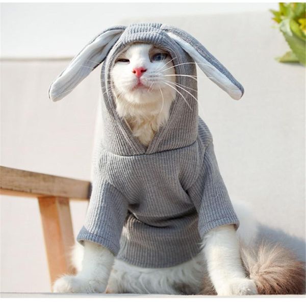 dog apparel cat clothes winter hoodie chihuahua yorkie poodle bichon pomeranian schnauzer pug clothing outfit dropship coat
dog apparel cat clothes winter hoodie chihuahua yorkie poodle bichon pomeranian schnauzer pug clothing outfit dropship coat
